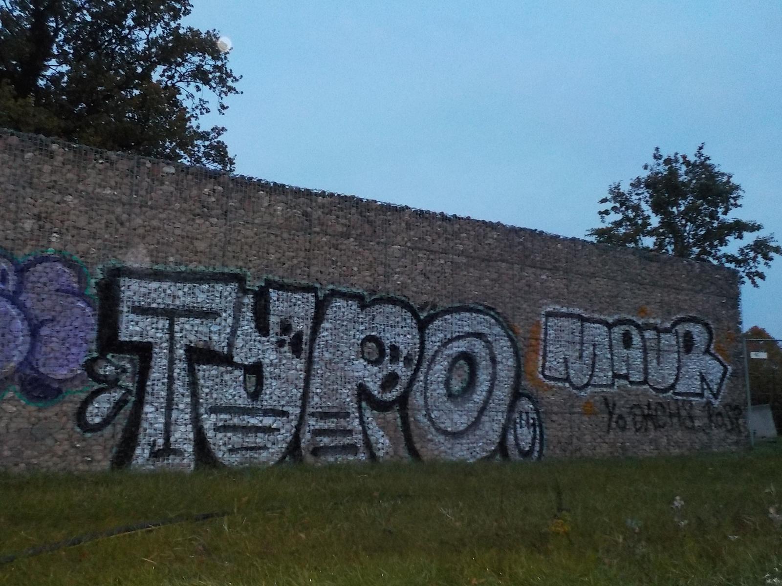 Graffitientfernung (vorher)